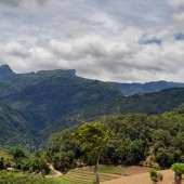 Siêu phẩm 10ha đầy đủ vườn, ao chuồng làm gì cũng sinh lời